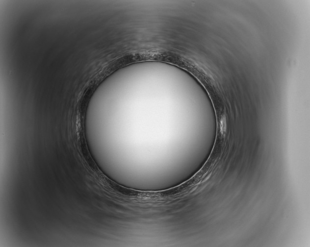 X0000094941299200711291013