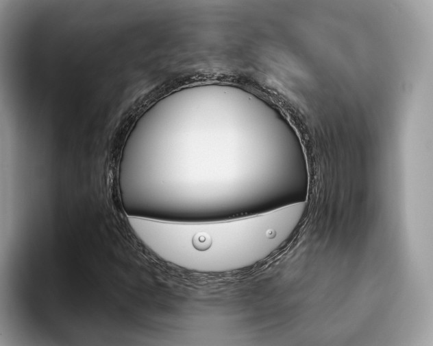 X0000094941302200711291013