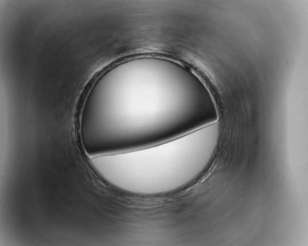 X0000094941308200711291013
