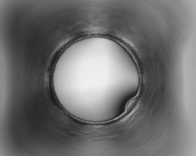 X0000094941309200711291013