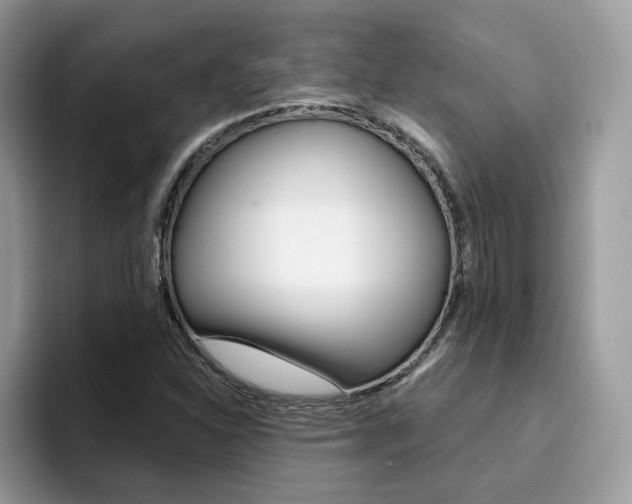 X0000094941310200711291013