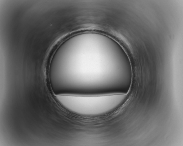 X0000094941318200711291013