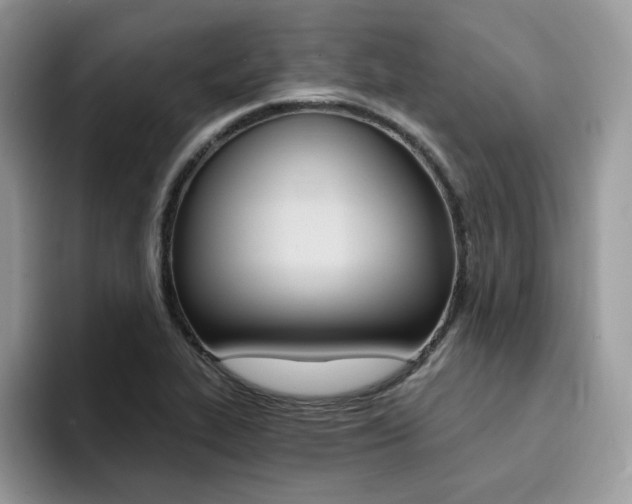 X0000094941319200711291013