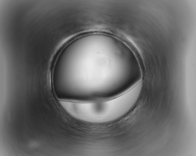 X0000094941320200711291013
