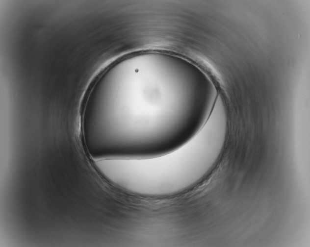 X0000094941324200711291013
