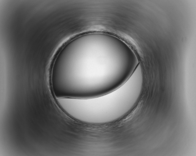 X0000094941326200711291013