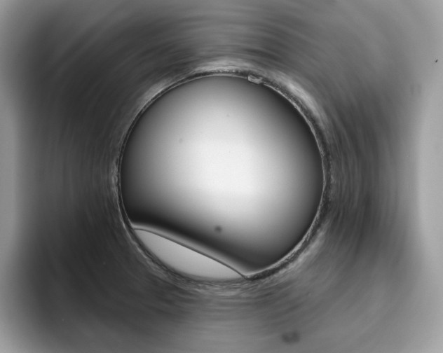 X0000094941329200711291013
