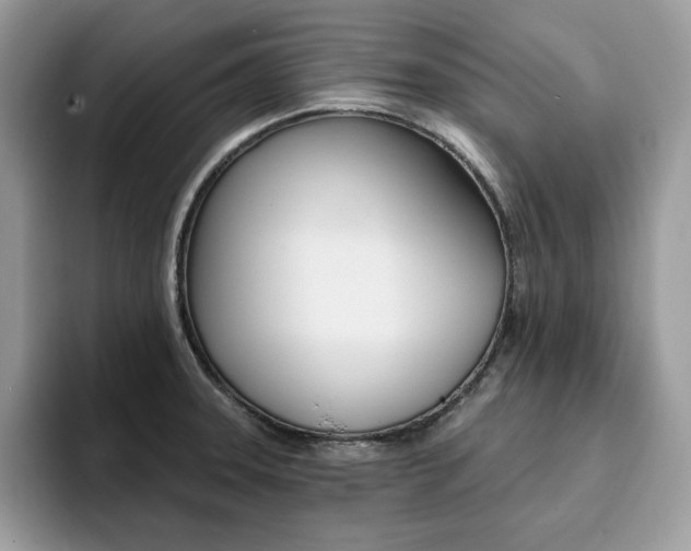 X0000094941331200711291013
