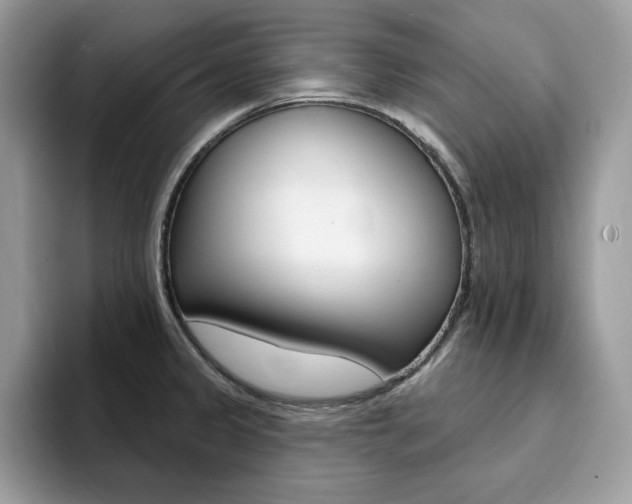 X0000094941333200711291013