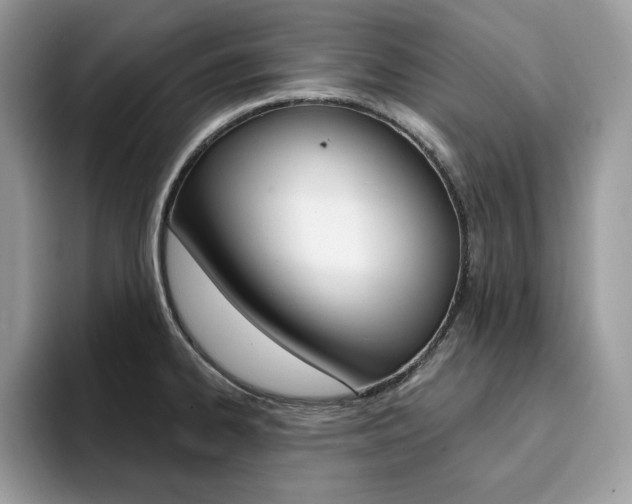 X0000094941334200711291013