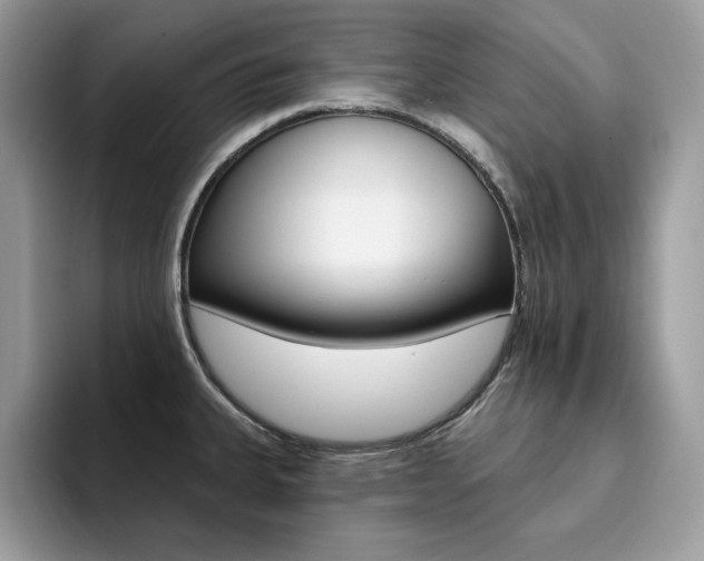 X0000094941335200711291013