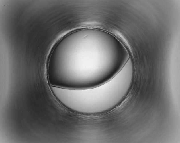 X0000094941336200711291013
