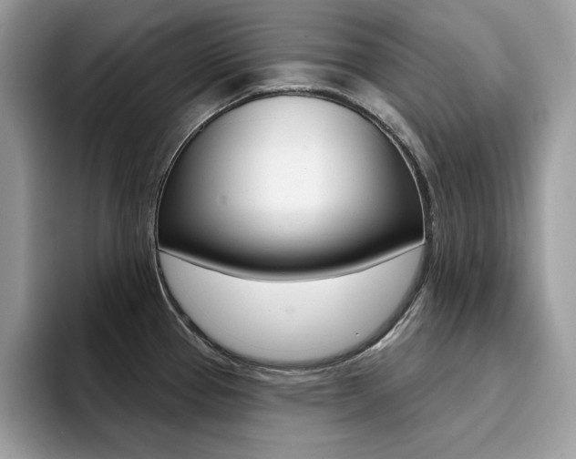 X0000094941337200711291013