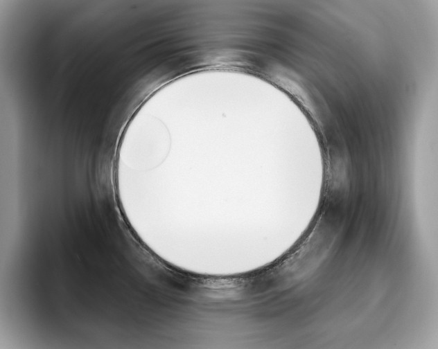 X0000094941338200711291013