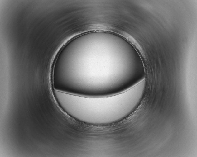 X0000094941339200711291013