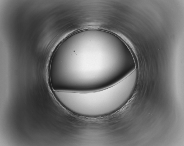 X0000094941341200711291013