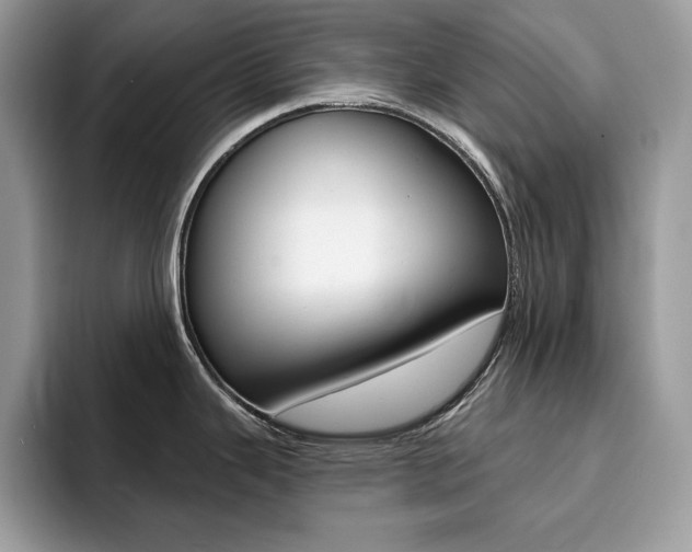 X0000094941343200711291013