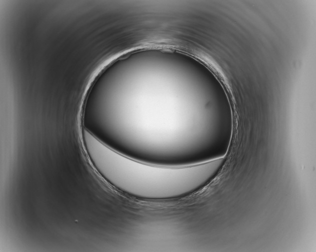 X0000094941344200711291013