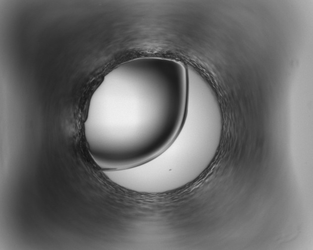 X0000094941349200711291013