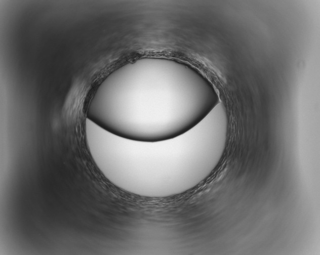 X0000094941350200711291013