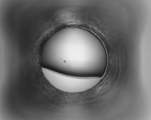 X0000094941351200711291013