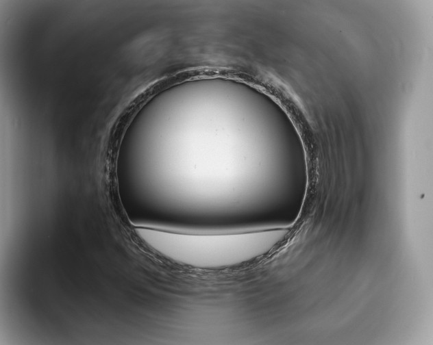X0000094941352200711291013