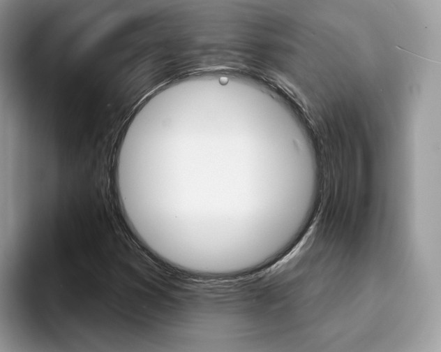 X0000094941353200711291013