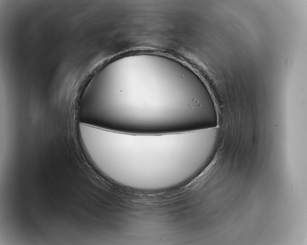 X0000094941355200711291013