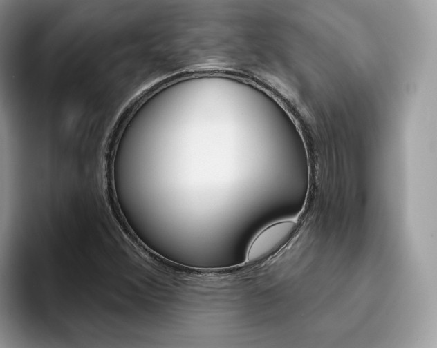 X0000094941356200711291013