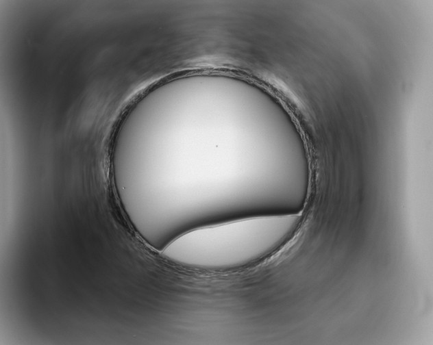 X0000094941358200711291013