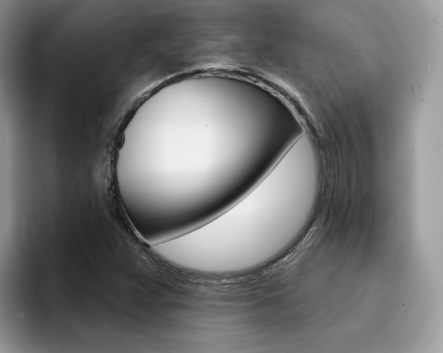 X0000094941359200711291013
