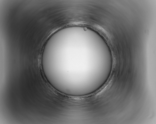 X0000094941361200711291013