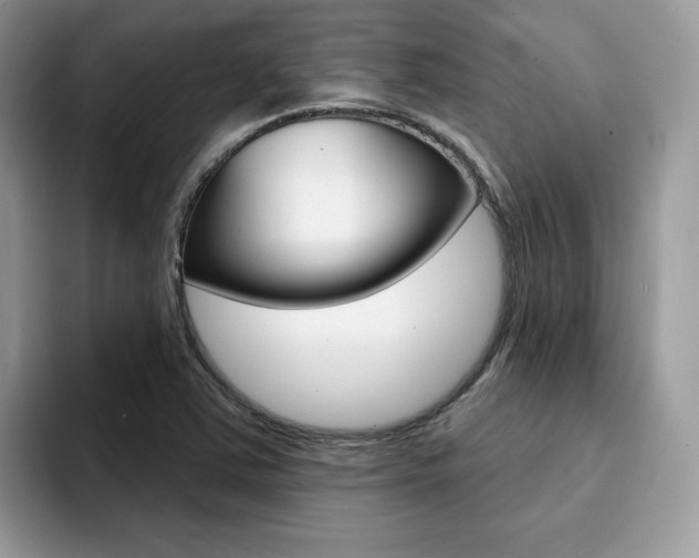 X0000094941363200711291013
