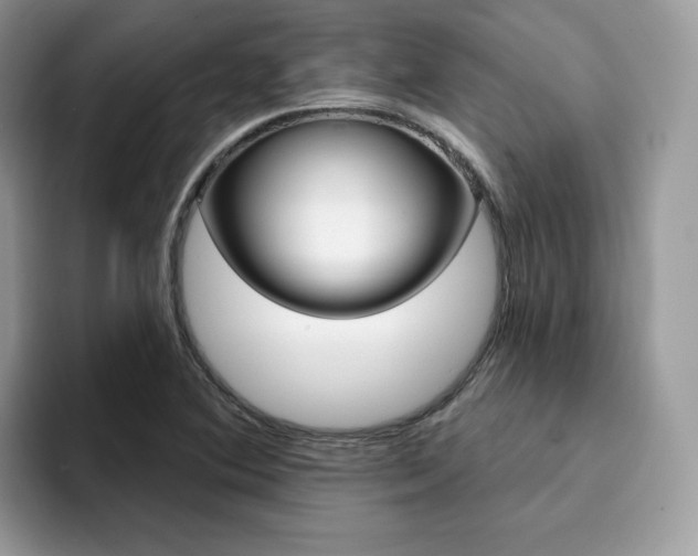 X0000094941364200711291013