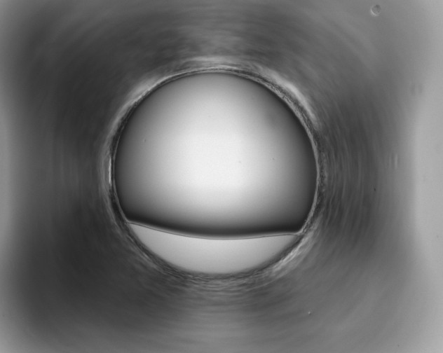 X0000094941365200711291013