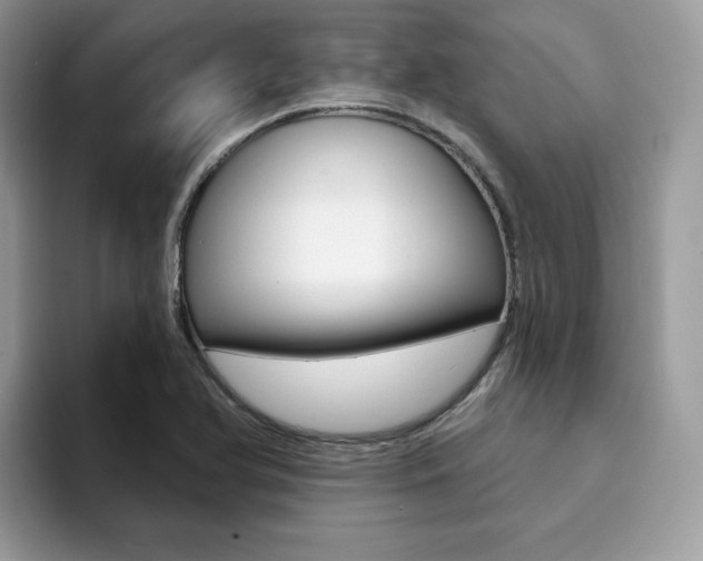 X0000094941366200711291012