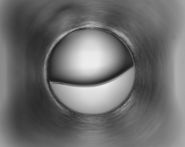 X0000094941375200711291012