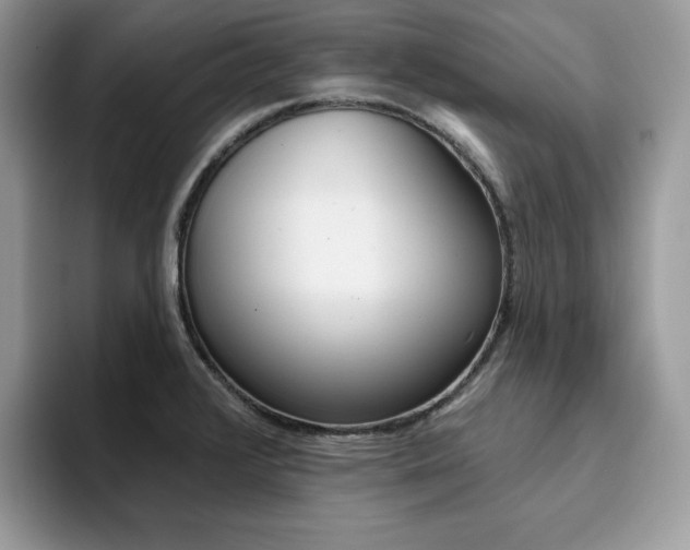 X0000094941376200711291012