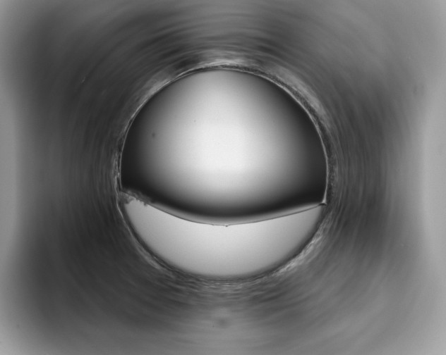 X0000094941377200711291012