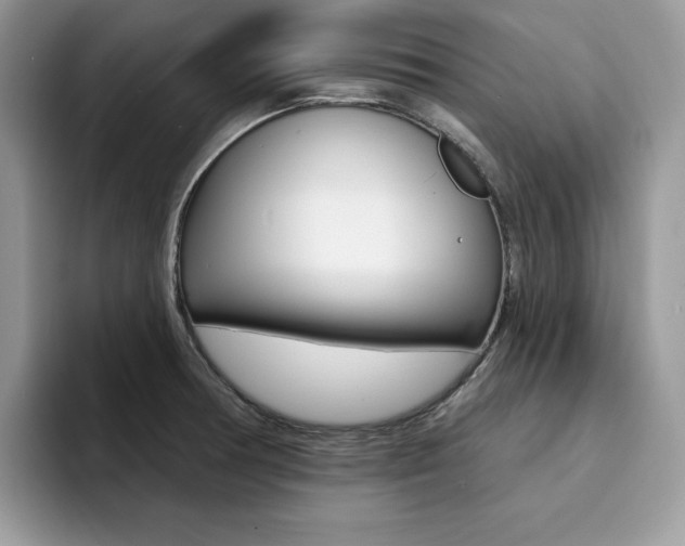 X0000094941378200711291012