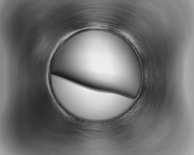 X0000094941379200711291012
