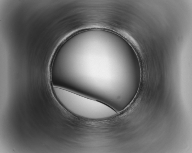 X0000094941380200711291012