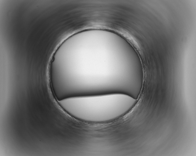 X0000094941382200711291012