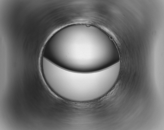 X0000094941383200711291012