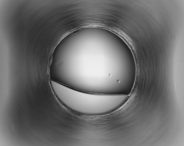 X0000094941385200711291012
