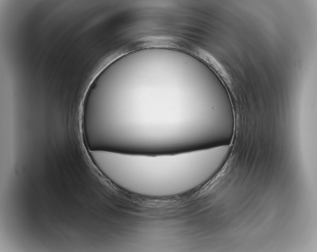 X0000094941386200711291012