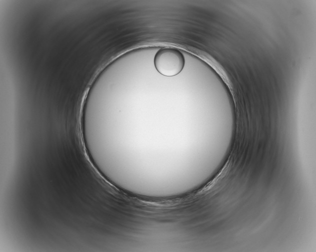 X0000094941388200711291012
