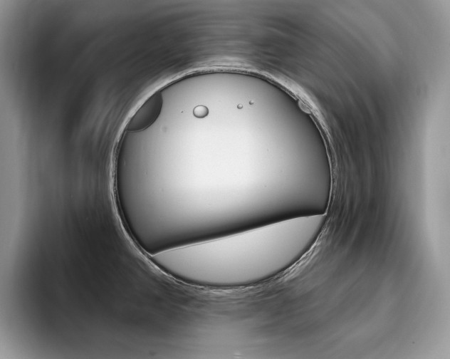 X0000094941390200711291012