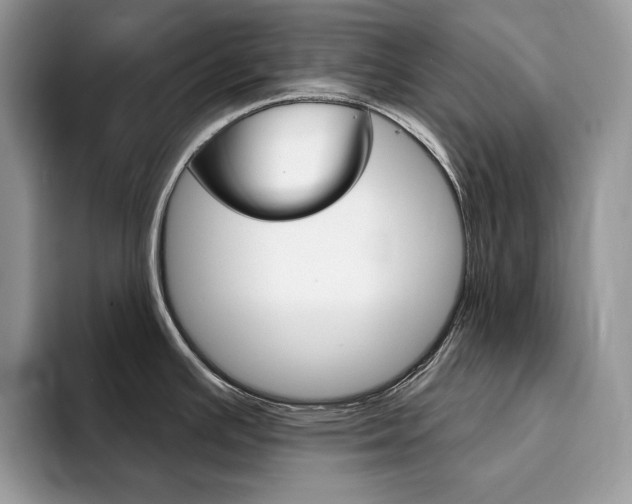 X0000094941391200711291012