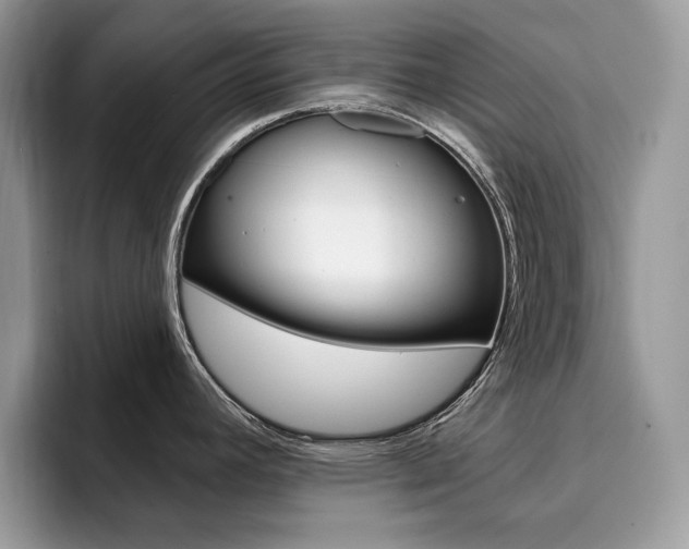 X0000094941392200711291012